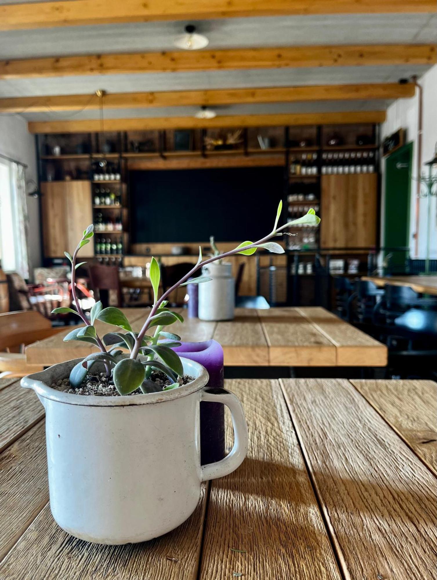 Penzion A Bistro Stary Kopec Znojmo Ngoại thất bức ảnh